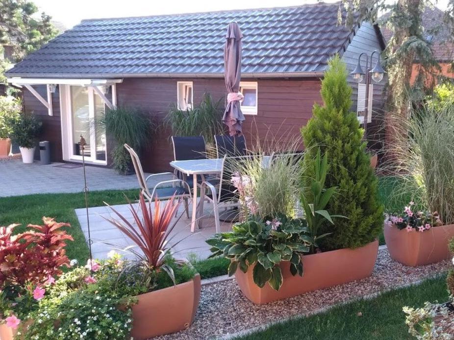 Gites Le P'Tit Paradis Du Ried Sundhouse エクステリア 写真